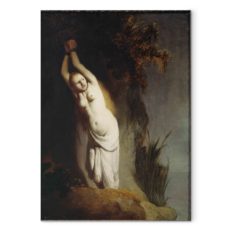 Art Reproduction Andromeda Chained to the Rock 152648