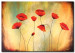 Canvas Print Poppies (1-piece) - Flowers on a background in natural colours with bright inscriptions 48548