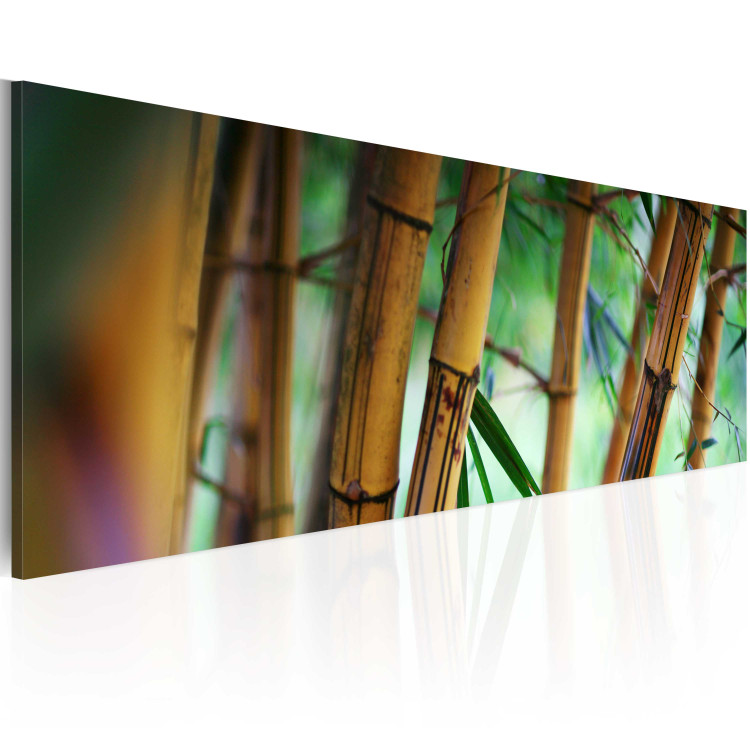 Canvas Wild bamboos 58848 additionalImage 2