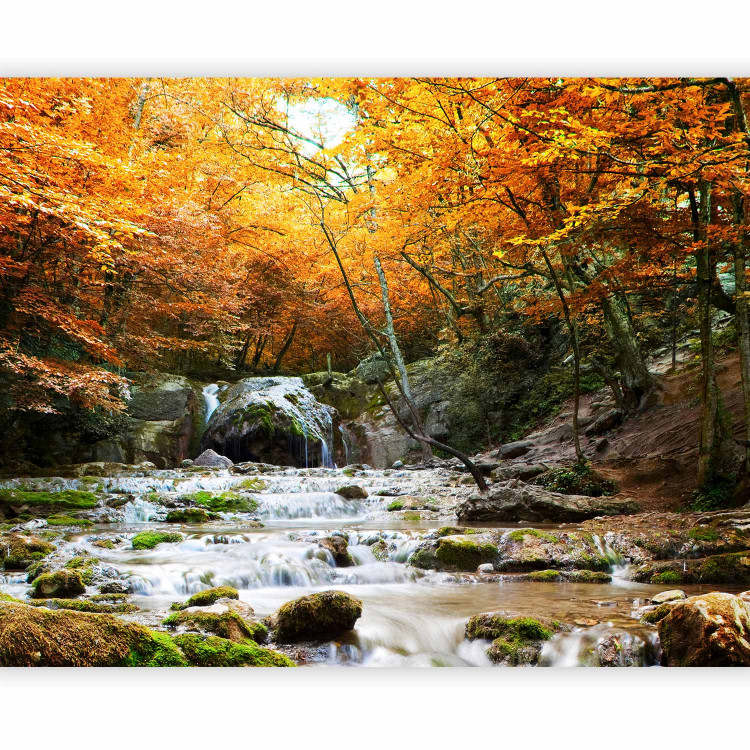 Photo Wallpaper Waterfalls - Landscape of Rocky River and Rocks in the Middle of an Autumn Forest 60048 additionalImage 1
