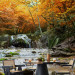 Photo Wallpaper Waterfalls - Landscape of Rocky River and Rocks in the Middle of an Autumn Forest 60048 additionalThumb 4
