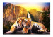Wall Mural Peace of Nature - Beautiful tiger lying on rocks by a waterfall 61348 additionalThumb 1