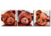 Canvas Art Print Teddy bears - picture of three bear cubs for a child's room 90348