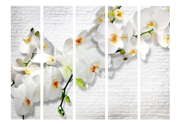 Room Divider Screen Urban Orchid II - orchid flower on the background of a brick white wall 95648 additionalImage 3