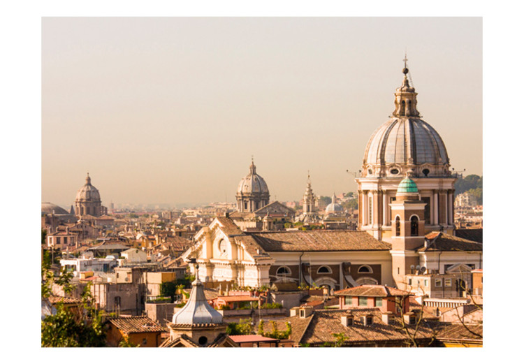Photo Wallpaper Rome and bird's eye view 96848 additionalImage 1