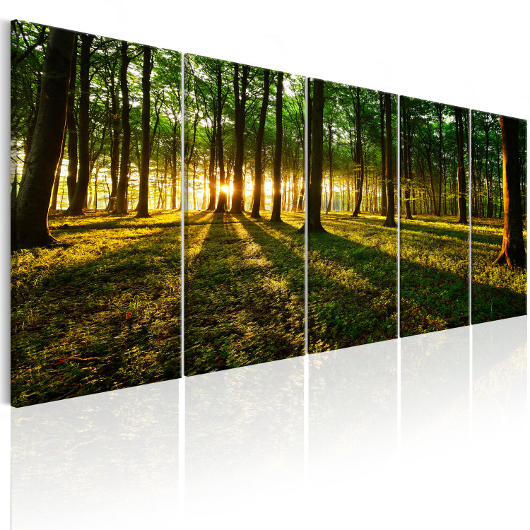 Canvas Print In the Shade of Trees (5-piece) - Landscape with View of Forest and Sun 105758 additionalImage 2