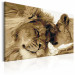 Paint by Number Kit Lions In Love 107158 additionalThumb 5