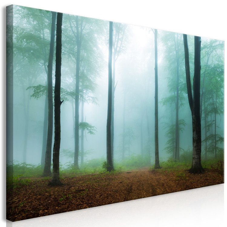 Canvas Art Print Misty Morning (1 Part) Wide 108258 additionalImage 2