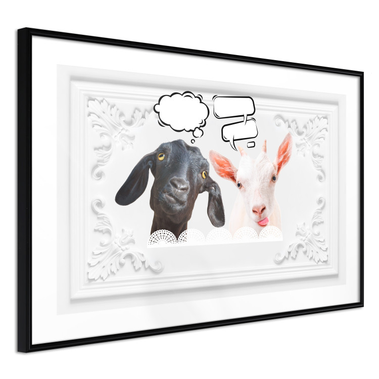 Wall Poster Funny goats - humorous composition with a black and white animal 114358 additionalImage 14