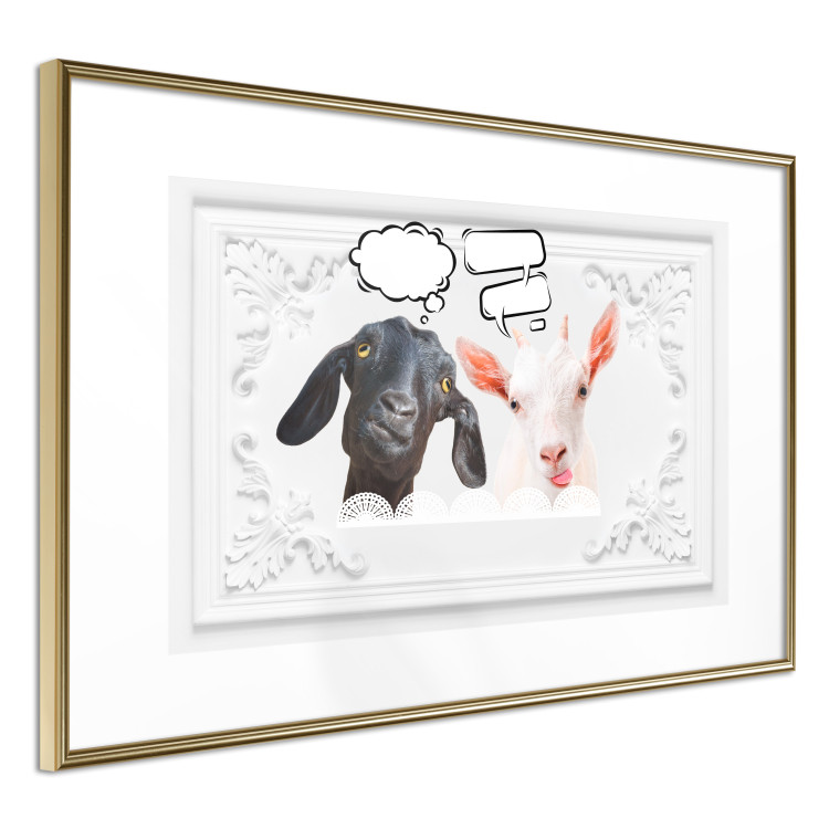 Wall Poster Funny goats - humorous composition with a black and white animal 114358 additionalImage 10
