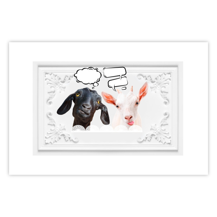 Wall Poster Funny goats - humorous composition with a black and white animal 114358 additionalImage 25