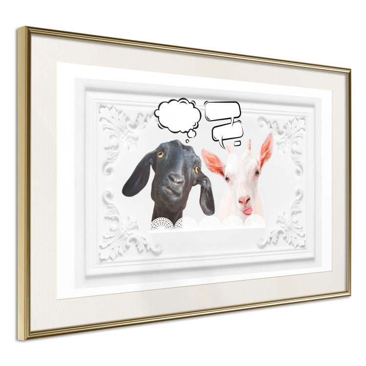Wall Poster Funny goats - humorous composition with a black and white animal 114358 additionalImage 3