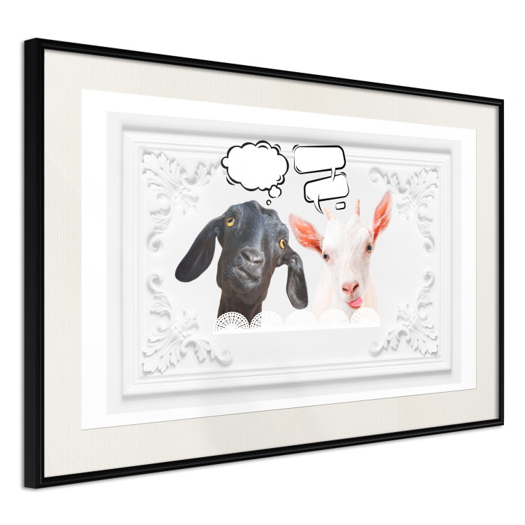 Wall Poster Funny goats - humorous composition with a black and white animal 114358 additionalImage 7