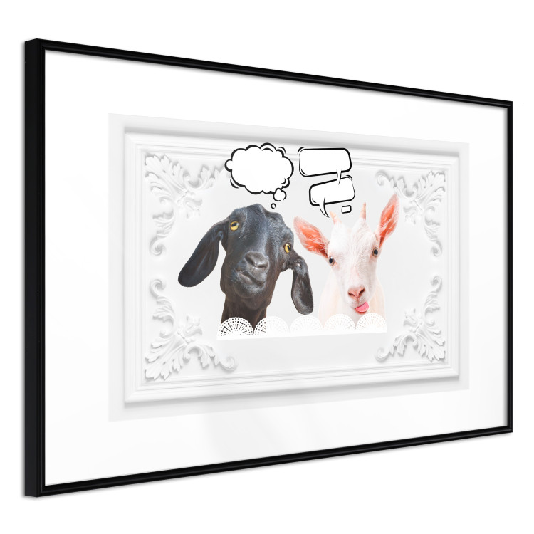 Wall Poster Funny goats - humorous composition with a black and white animal 114358 additionalImage 11