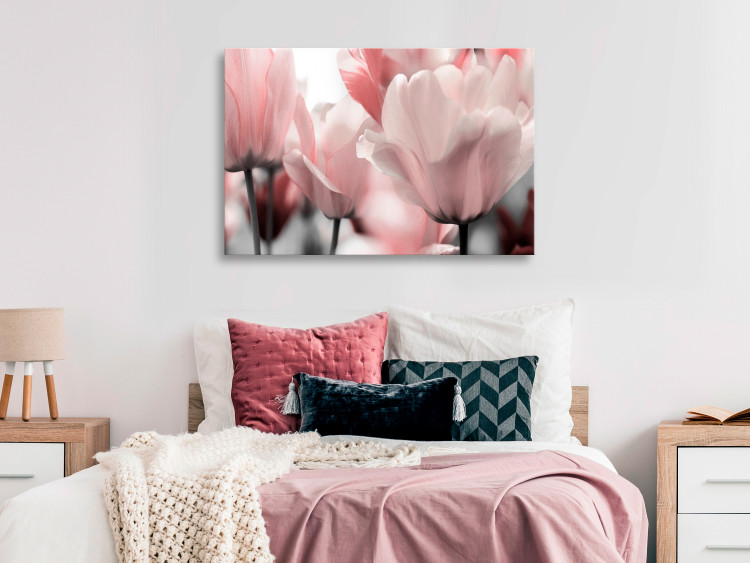 Canvas Print Spring Petals (1-part) - Tulip Flower in Pink Hue 117158 additionalImage 3