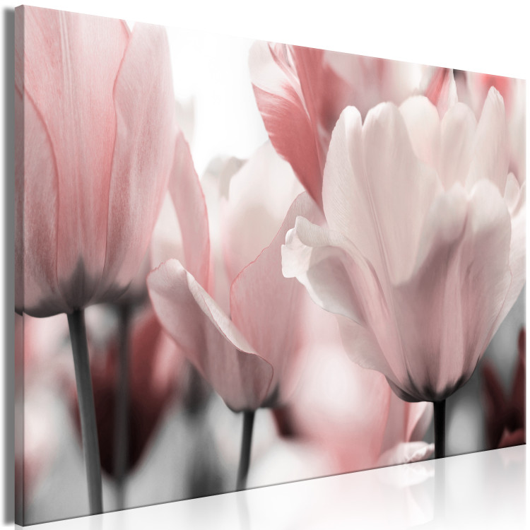 Canvas Print Spring Petals (1-part) - Tulip Flower in Pink Hue 117158 additionalImage 2