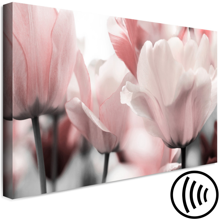 Canvas Print Spring Petals (1-part) - Tulip Flower in Pink Hue 117158 additionalImage 6