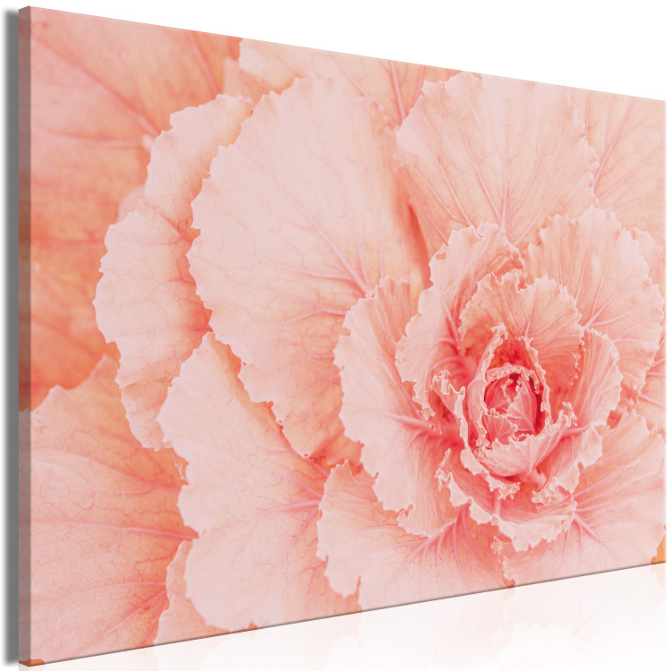 Canvas Print Delicate flower - a subtle plant in the color of natural pink 117758 additionalImage 2