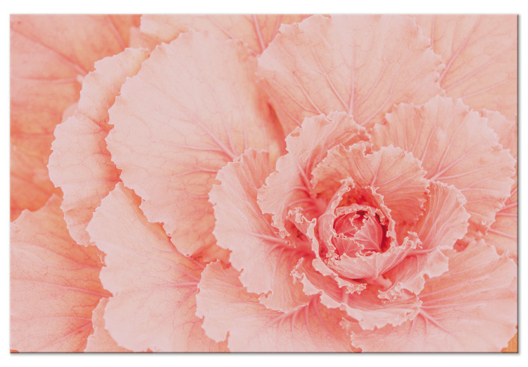 Canvas Print Delicate flower - a subtle plant in the color of natural pink 117758