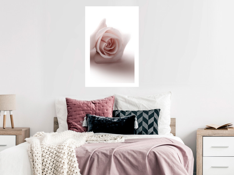 Poster Rose Shadow - light pink rose casting a shadow on a white background 122858 additionalImage 4