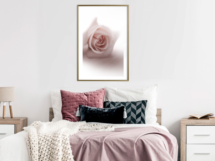 Poster Rose Shadow - light pink rose casting a shadow on a white background 122858 additionalImage 15
