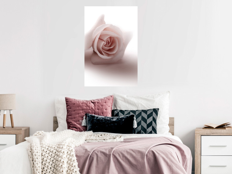 Poster Rose Shadow - light pink rose casting a shadow on a white background 122858 additionalImage 23