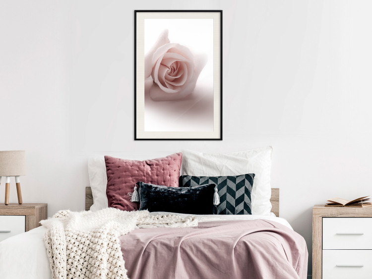 Poster Rose Shadow - light pink rose casting a shadow on a white background 122858 additionalImage 22
