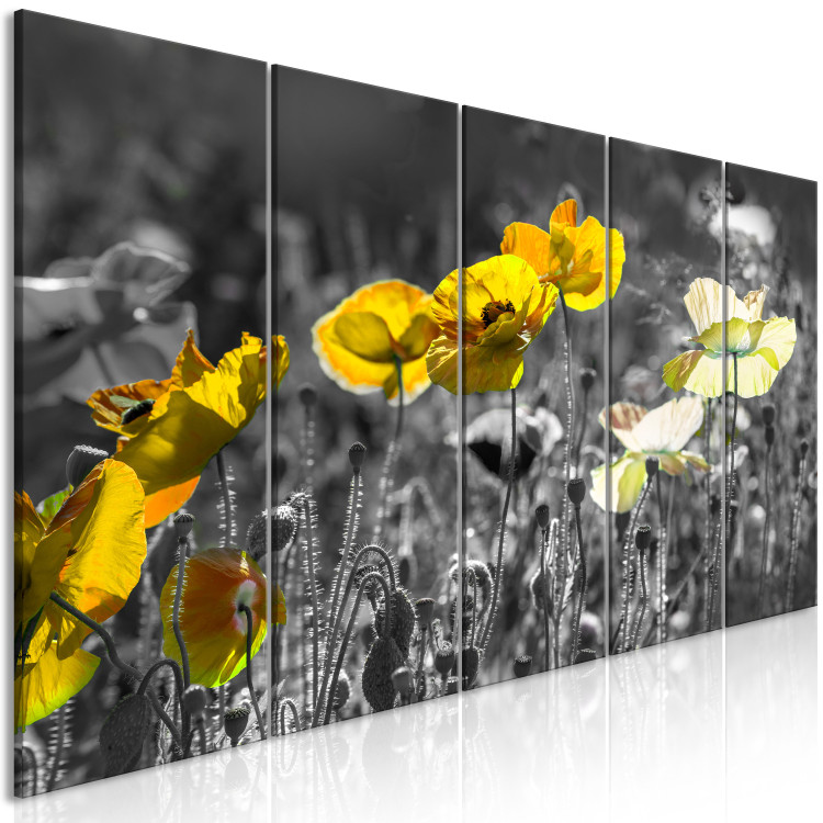 Canvas Art Print Yellow poppies in a grey meadow - 5-Piece photo with yellow flowers 123058 additionalImage 2