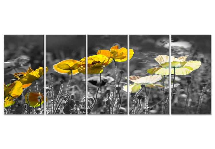 Canvas Art Print Yellow poppies in a grey meadow - 5-Piece photo with yellow flowers 123058