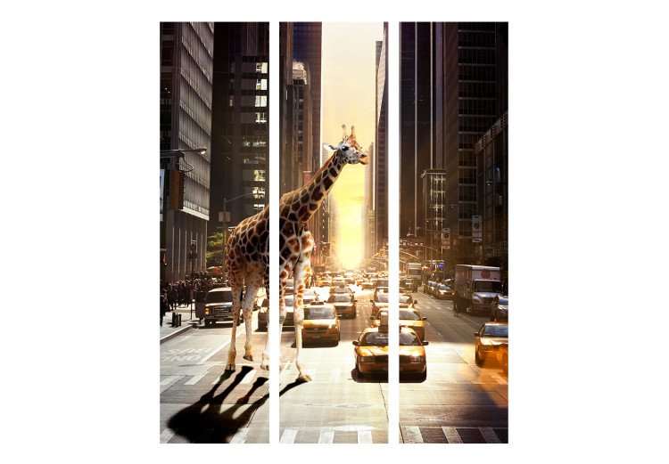 Room Divider Giraffe in the Big City (3-piece) - animal on a busy street 124258 additionalImage 3