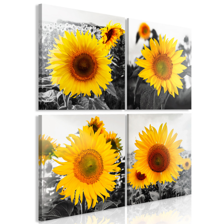 Canvas Print Sunflower Quartet (4 Parts) 124358 additionalImage 2
