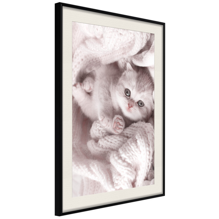 Wall Poster Rest Lover - cat wrapped in a pink woolen blanket 124458 additionalImage 6