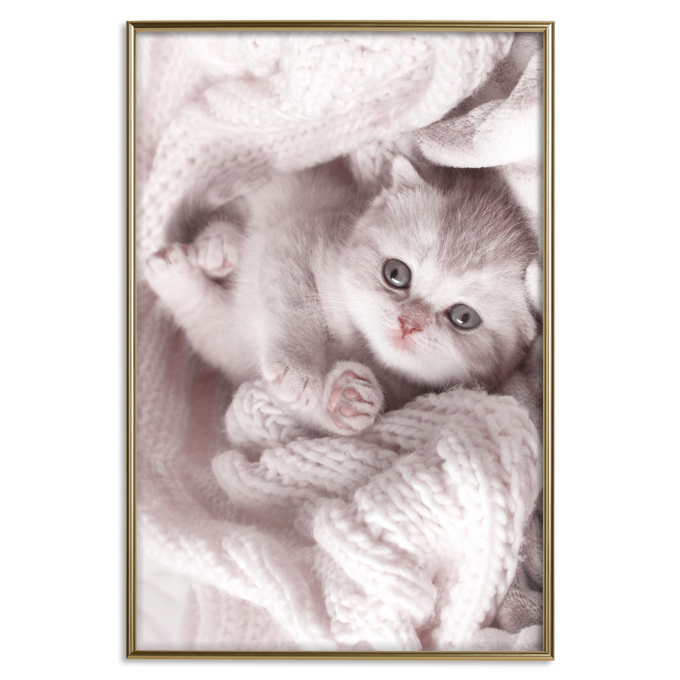 Wall Poster Rest Lover - cat wrapped in a pink woolen blanket 124458 additionalImage 21