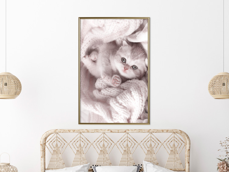 Wall Poster Rest Lover - cat wrapped in a pink woolen blanket 124458 additionalImage 10
