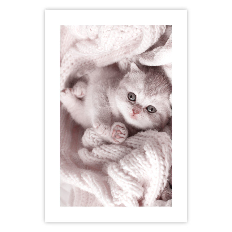 Wall Poster Rest Lover - cat wrapped in a pink woolen blanket 124458 additionalImage 19