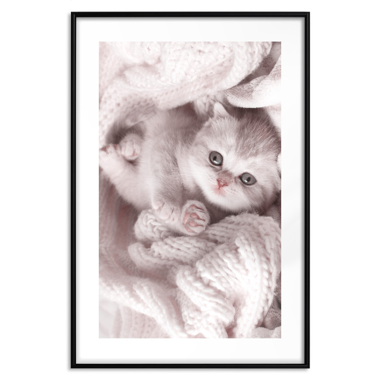 Wall Poster Rest Lover - cat wrapped in a pink woolen blanket 124458 additionalImage 15