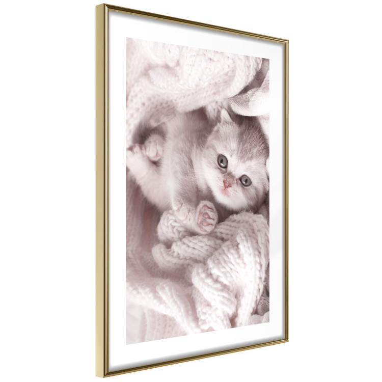 Wall Poster Rest Lover - cat wrapped in a pink woolen blanket 124458 additionalImage 11