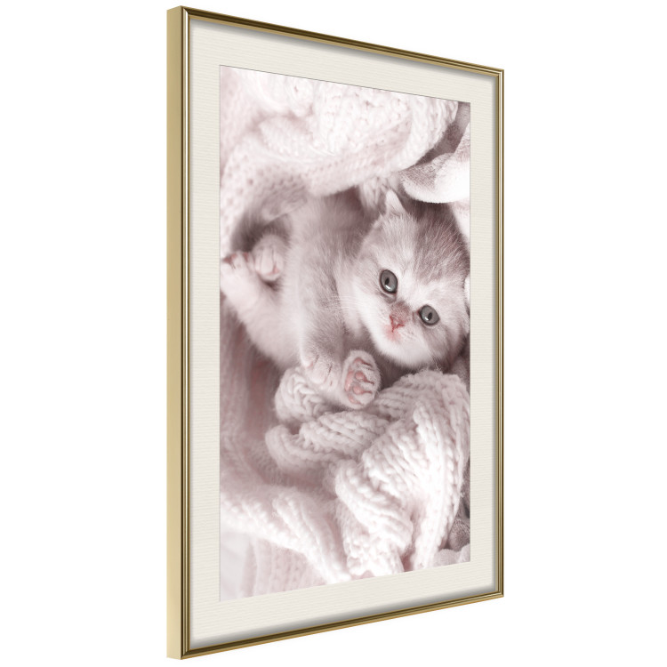 Wall Poster Rest Lover - cat wrapped in a pink woolen blanket 124458 additionalImage 8