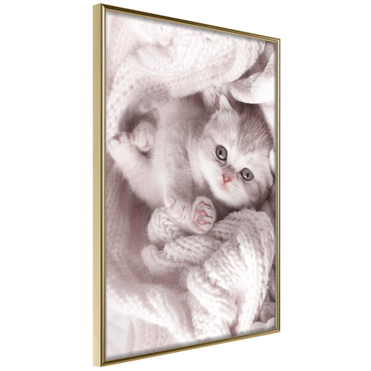 Wall Poster Rest Lover - cat wrapped in a pink woolen blanket 124458 additionalImage 11