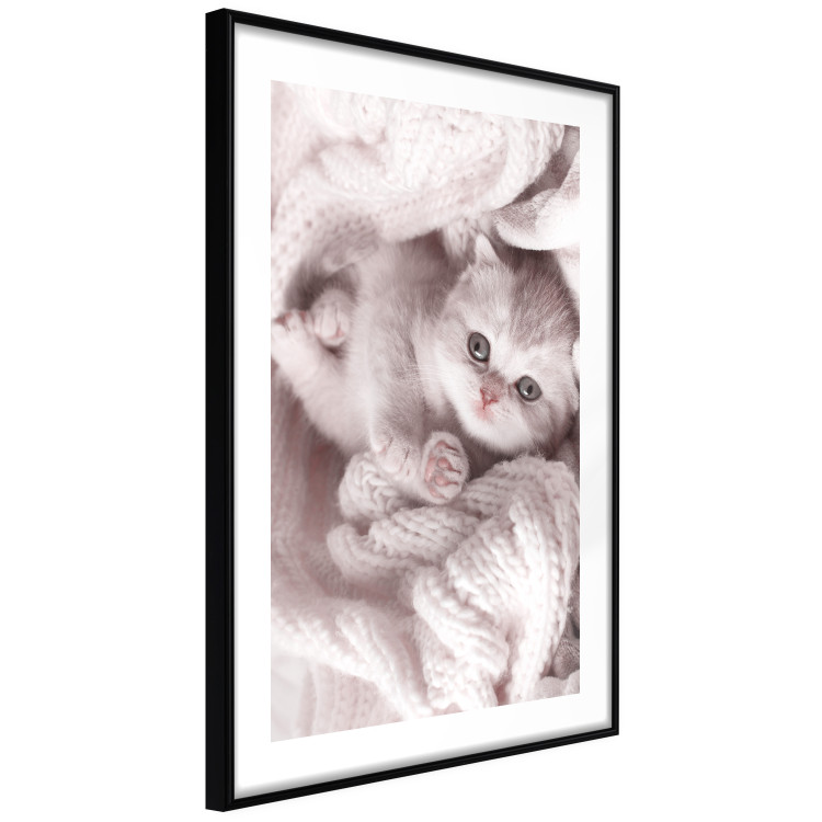 Wall Poster Rest Lover - cat wrapped in a pink woolen blanket 124458 additionalImage 12