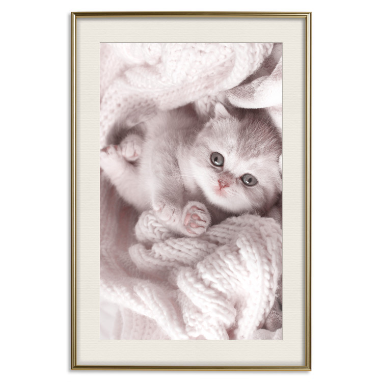 Wall Poster Rest Lover - cat wrapped in a pink woolen blanket 124458 additionalImage 20