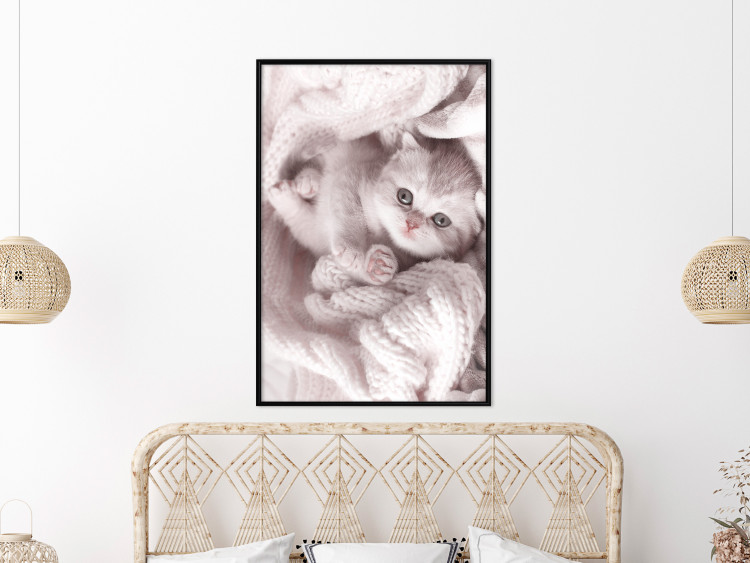 Wall Poster Rest Lover - cat wrapped in a pink woolen blanket 124458 additionalImage 9