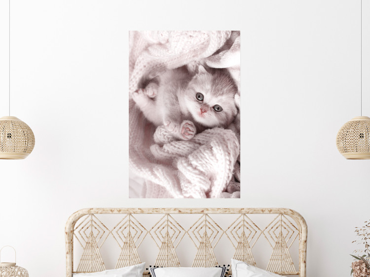 Wall Poster Rest Lover - cat wrapped in a pink woolen blanket 124458 additionalImage 5