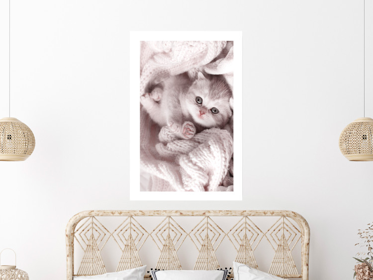 Wall Poster Rest Lover - cat wrapped in a pink woolen blanket 124458 additionalImage 7