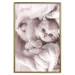 Wall Poster Rest Lover - cat wrapped in a pink woolen blanket 124458 additionalThumb 21