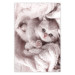 Wall Poster Rest Lover - cat wrapped in a pink woolen blanket 124458