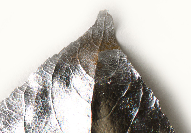 Canvas Print Leaf in glamor style - silver plant motif on beige background 124958 additionalImage 5