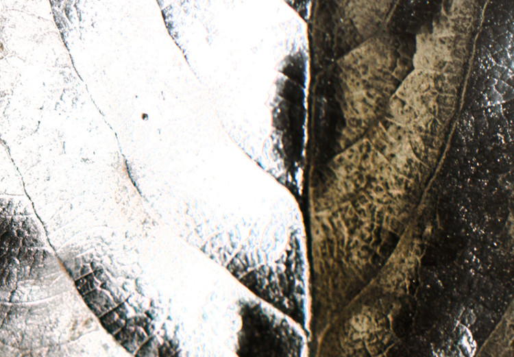 Canvas Print Leaf in glamor style - silver plant motif on beige background 124958 additionalImage 4