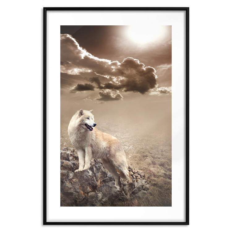 Poster Guardian of Clouds - wild wolf against a sky with clouds in sepia motif 126358 additionalImage 15