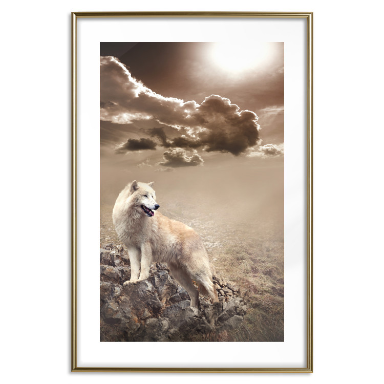 Poster Guardian of Clouds - wild wolf against a sky with clouds in sepia motif 126358 additionalImage 14